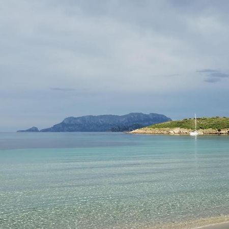 La Dolce Dimora Apartment Olbia Luaran gambar