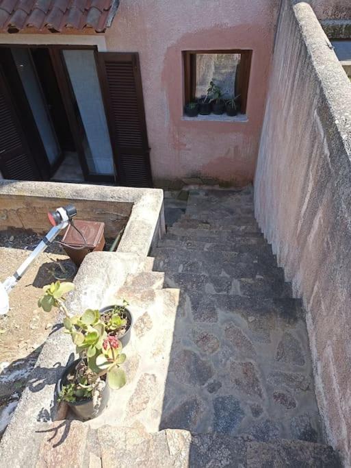 La Dolce Dimora Apartment Olbia Luaran gambar