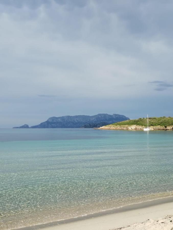 La Dolce Dimora Apartment Olbia Luaran gambar
